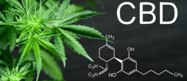 Lire la suite à propos de l’article Comment l’huile de CBD agit pour améliorer votre qualité de vie