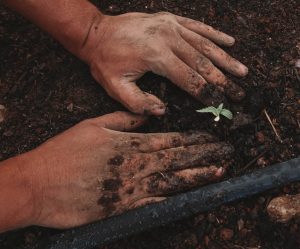 Lire la suite à propos de l’article Le CBD peut-il vous donner de l’énergie ?